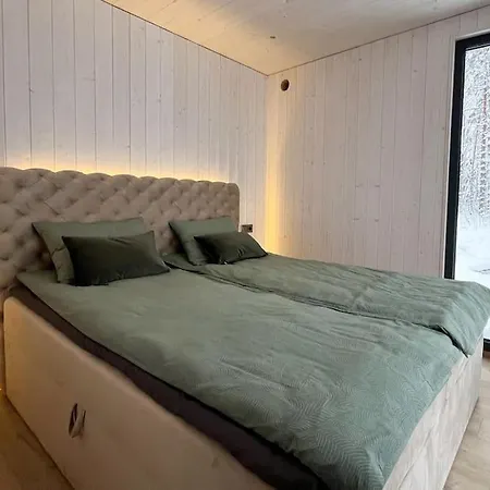 Metsavaatega Majake Paernu Piiril 別荘