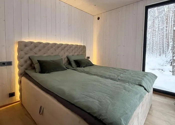 Metsavaatega Majake Paernu Piiril 別荘